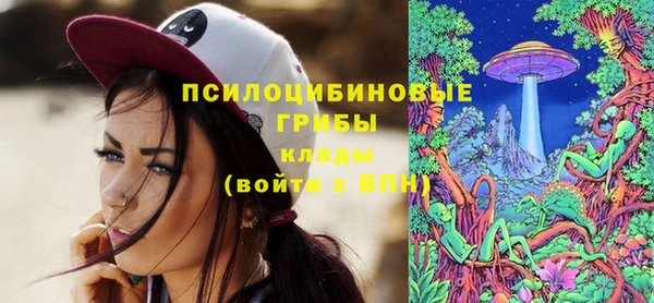 бутират Алзамай