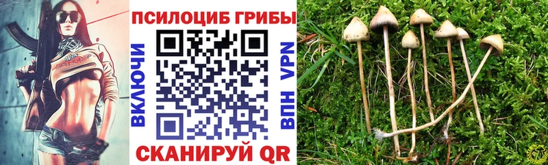 Купить закладки  Волчанск  Галлюциногенные грибы мицелий 